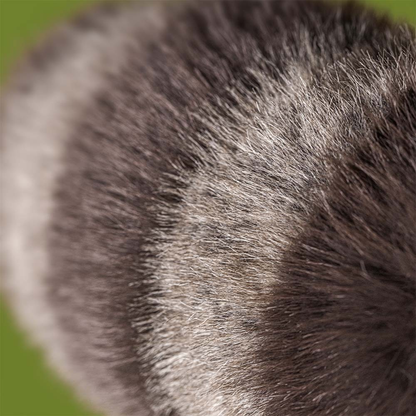 Jellycat Trixiwoo Raccoon 24cm
